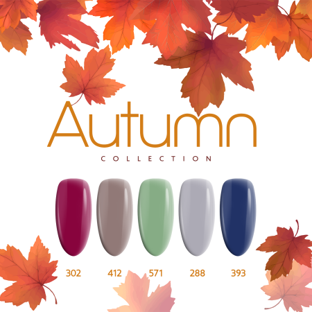 Laloo Collections Autumn