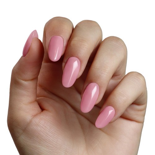 Champion Led Gel Natural Pink 5g 2
